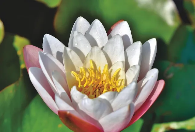 Let’s talk about the issue that no one wants to talk about: Urinary Incontinence
