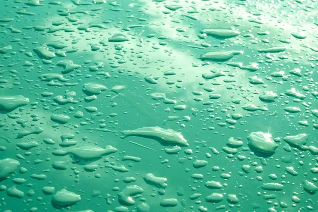 Wetbag