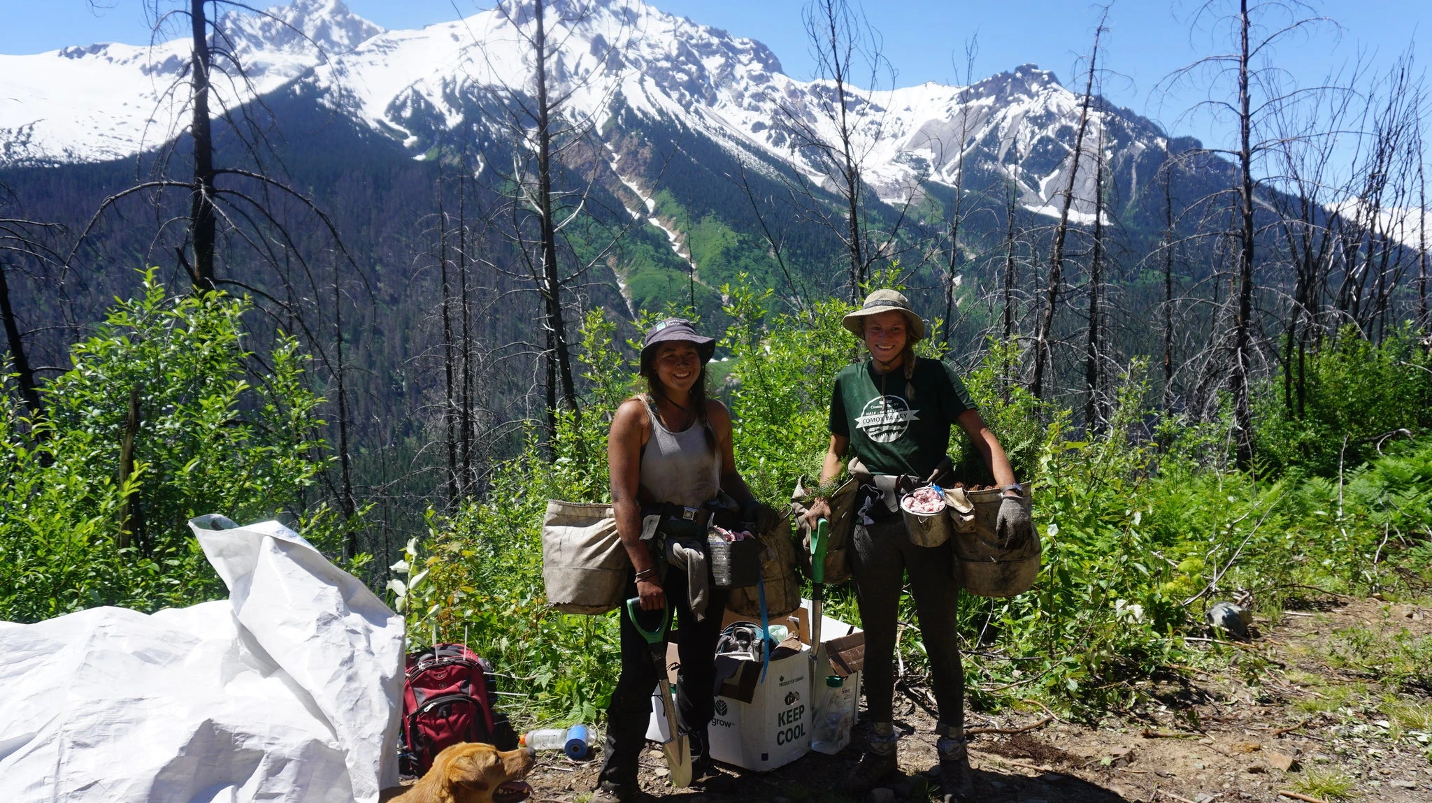 forest management Hannahpad