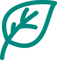 Picture of a leaf shows environment